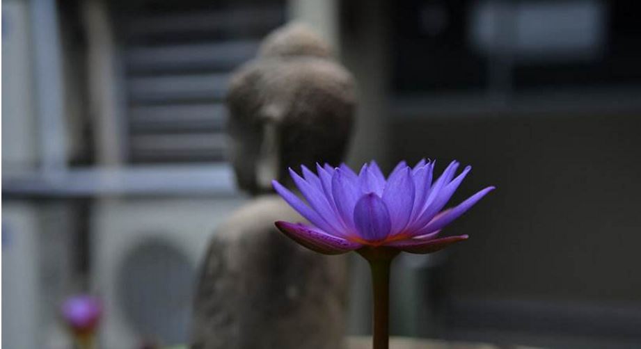 女人脸上痣的位置与命运图解,看看你中了几个?