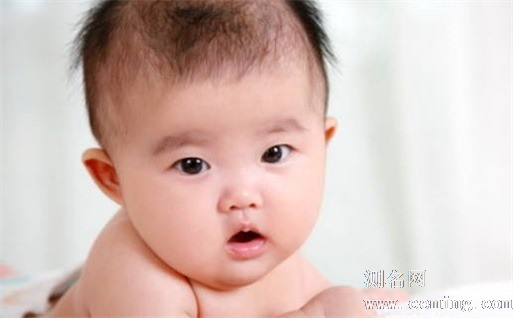 属兔宝宝洋气的小名 属兔的孩子小名叫什么好