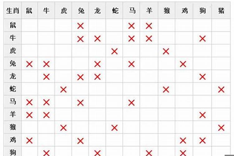 相克相冲的生肖在一起会怎么样？相属不合会影响到一生的财路吗