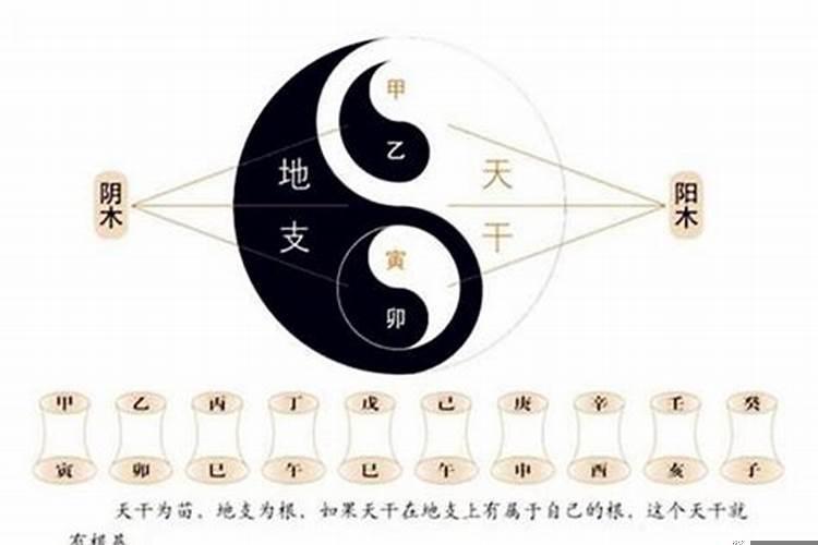 天干地支与生辰八字，怎么通过八字判断时辰吉凶