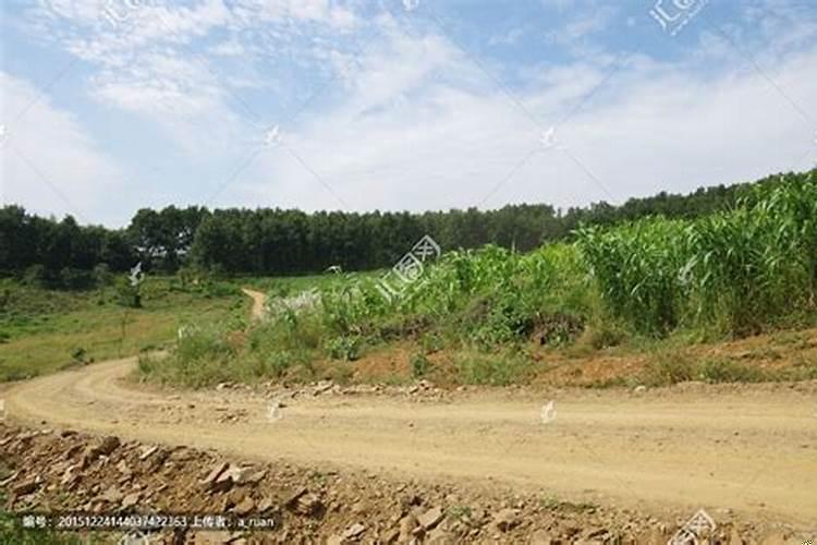 路旁土命住宅风水