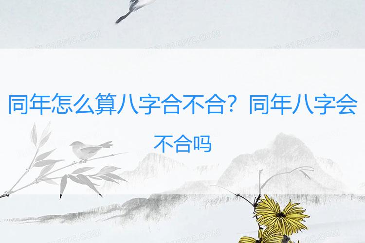 同年怎么算八字合不合？同年八字会不合吗