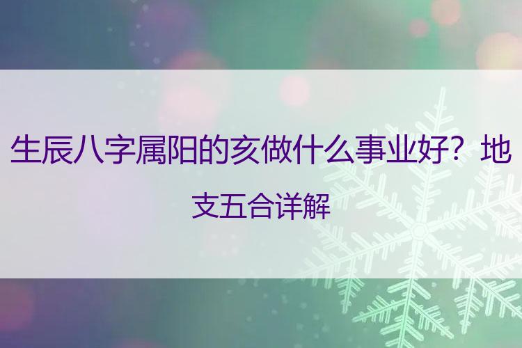 生辰八字属阳的亥做什么事业好？地支五合详解