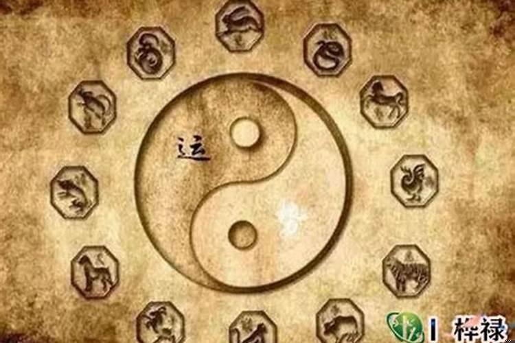 八字四柱财库各代表什么？怎么才能开财库