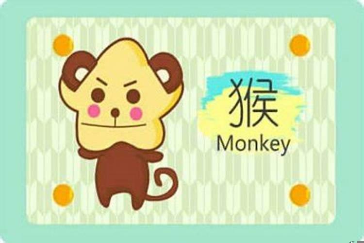 属猴人一生的命运怎么样？属猴的人怎么改变财运方位