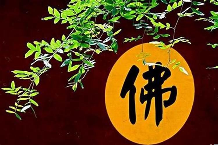 信佛会带来什么好处吗？信佛可以改变霉运吗知乎