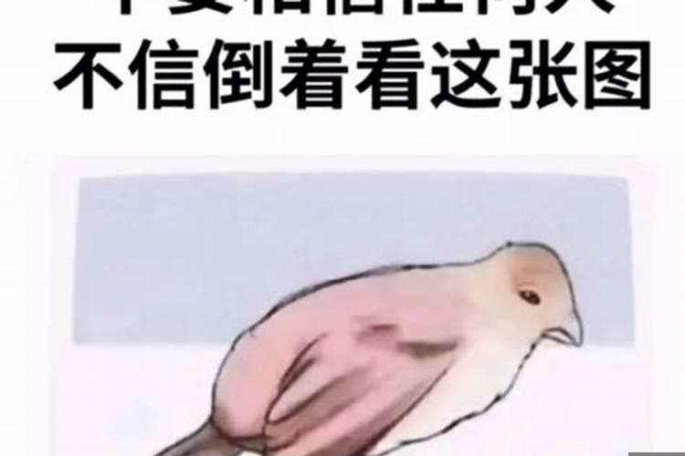 人应不应该相信命运呢 丁火命财运