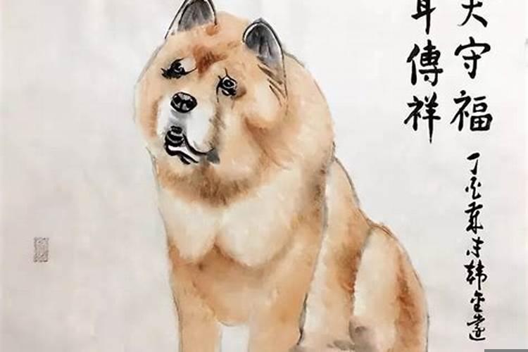 82年狗如何增加财运？属狗人怎样提升财运