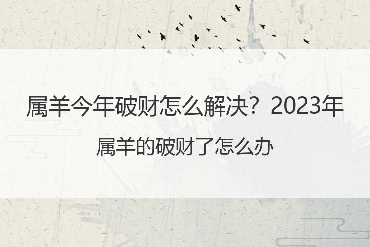 属羊今年破财怎么解决？2023年属羊的破财了怎么办