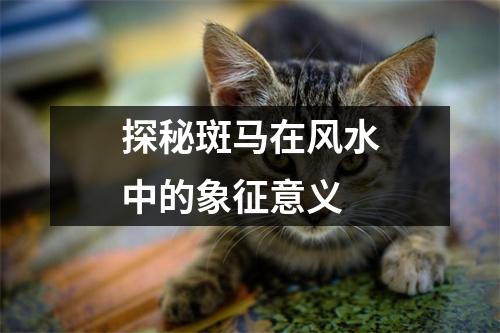 探秘斑马在风水中的象征意义