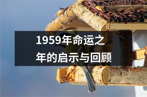 1959年命运之年的启示与回顾