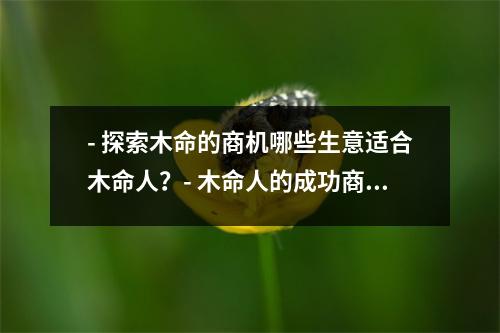 - 探索木命的商机哪些生意适合木命人？- 木命人的成功商业机会探讨最适合他们的生意- 木命人的创业指南挖掘适合他们的生意机会- 木命人的创业之路寻找他们的理想生意模式- 发掘木命人的创业潜力推荐适合他