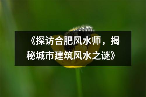 《探访合肥风水师，揭秘城市建筑风水之谜》