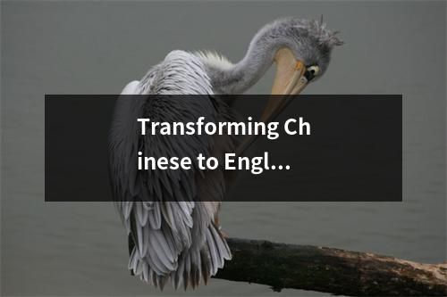 Transforming Chinese to English The Art of Language Conversion
