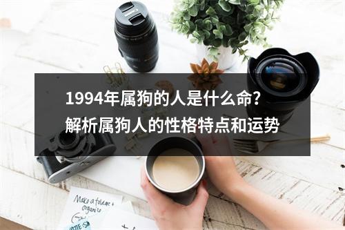 1994年属狗的人是什么命？解析属狗人的性格特点和运势