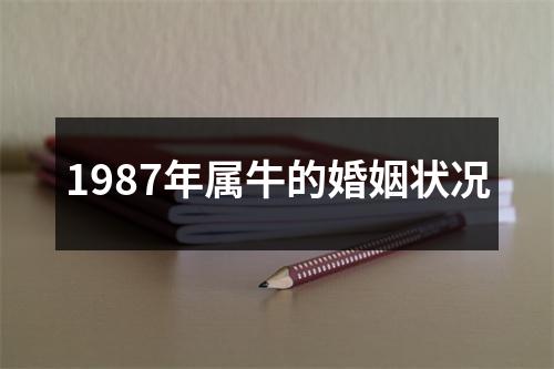 1987年属牛的婚姻状况