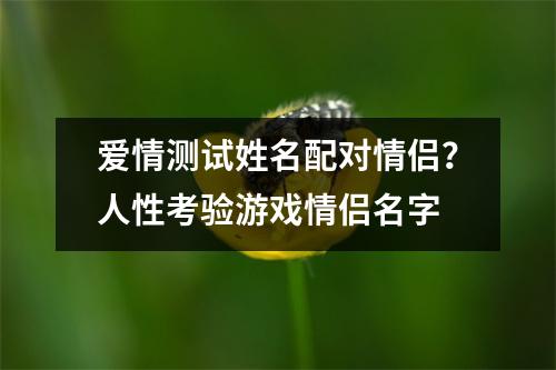 爱情测试姓名配对情侣？人性考验游戏情侣名字