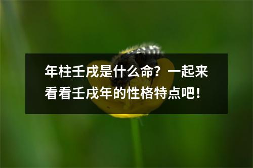 年柱壬戌是什么命？一起来看看壬戌年的性格特点吧！