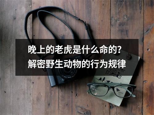 晚上的老虎是什么命的？解密野生动物的行为规律