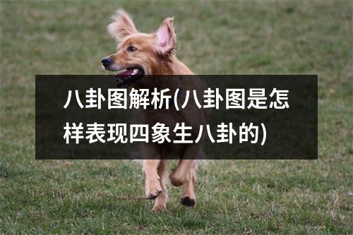 八卦图解析