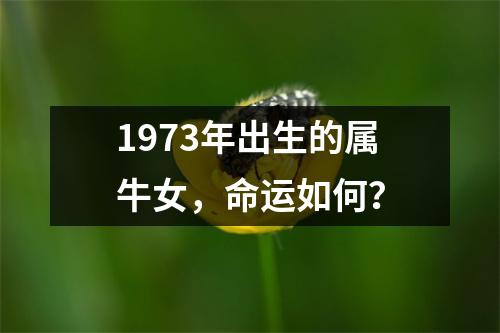 1973年出生的属牛女，命运如何？