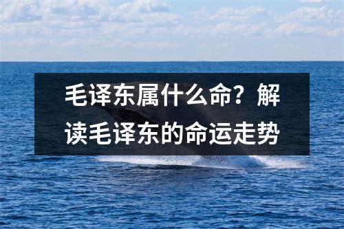 毛译东属什么命？解读毛译东的命运走势
