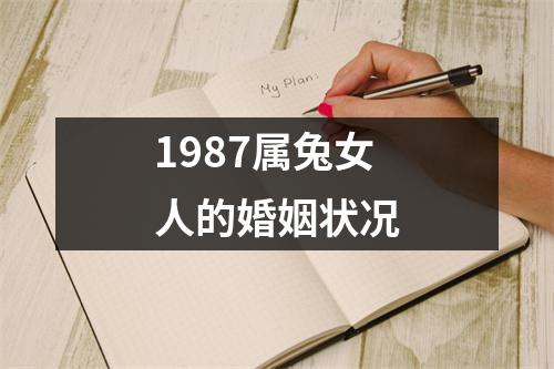 1987属兔女人的婚姻状况