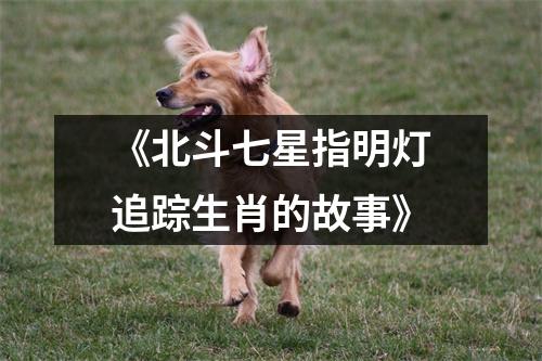 《北斗七星指明灯追踪生肖的故事》
