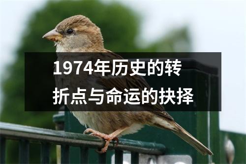 1974年历史的转折点与命运的抉择