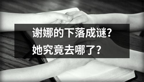 谢娜的下落成谜？她究竟去哪了？