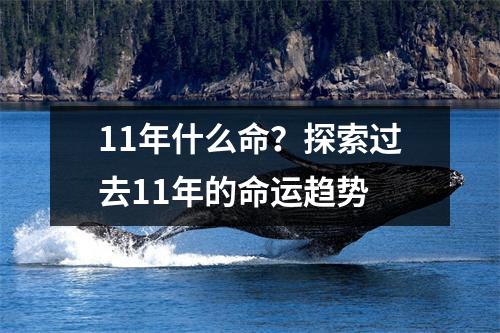 11年什么命？探索过去11年的命运趋势