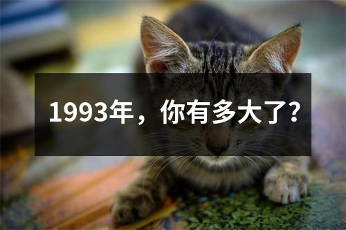 1993年，你有多大了？