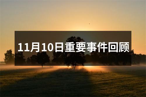 11月10日重要事件回顾