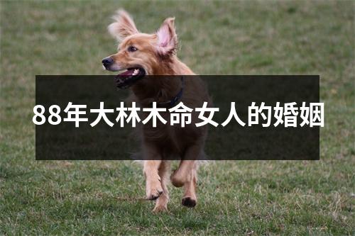 88年大林木命女人的婚姻