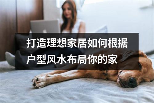 打造理想家居如何根据户型风水布局你的家