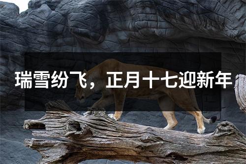 瑞雪纷飞，正月十七迎新年
