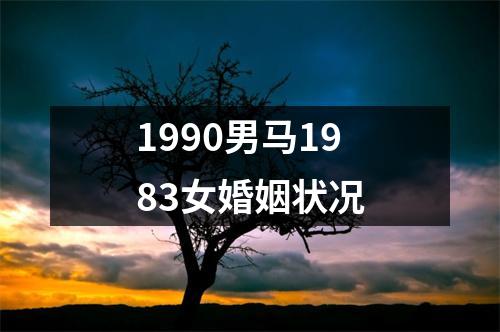 1990男马1983女婚姻状况