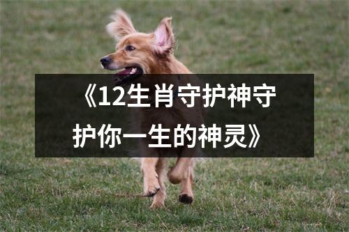 《12生肖守护神守护你一生的神灵》