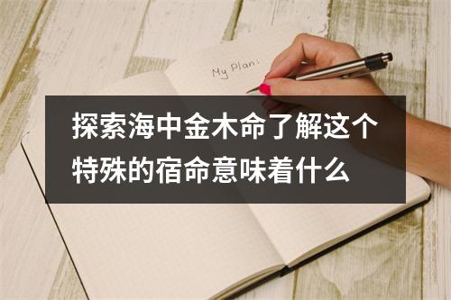 探索海中金木命了解这个特殊的宿命意味着什么