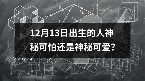 12月13日出生的人神秘可怕还是神秘可爱？