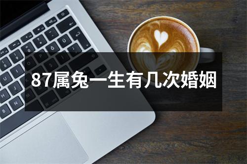 87属兔一生有几次婚姻