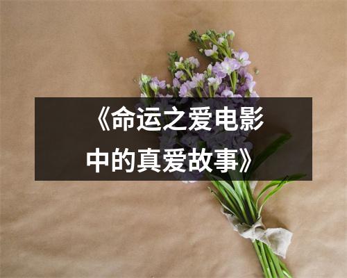 《命运之爱电影中的真爱故事》