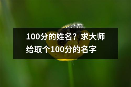 100分的姓名？求大师给取个100分的名字
