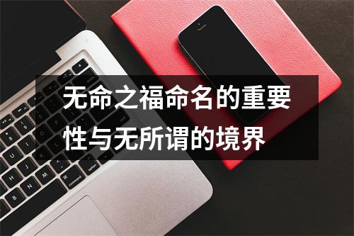 无命之福命名的重要性与无所谓的境界