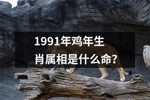 1991年鸡年生肖属相是什么命？