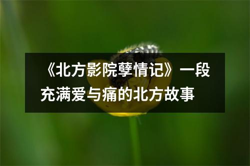 《北方影院孽情记》一段充满爱与痛的北方故事