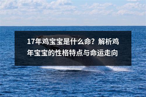 17年鸡宝宝是什么命？解析鸡年宝宝的性格特点与命运走向