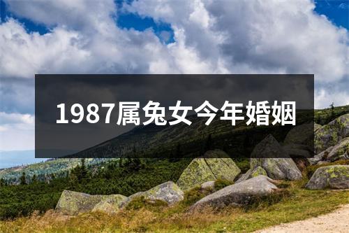 1987属兔女今年婚姻