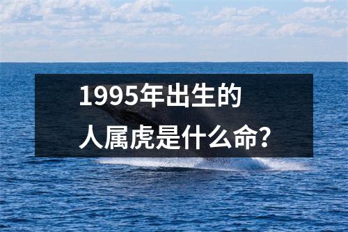 1995年出生的人属虎是什么命？