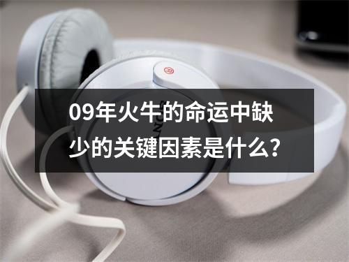 09年火牛的命运中缺少的关键因素是什么？